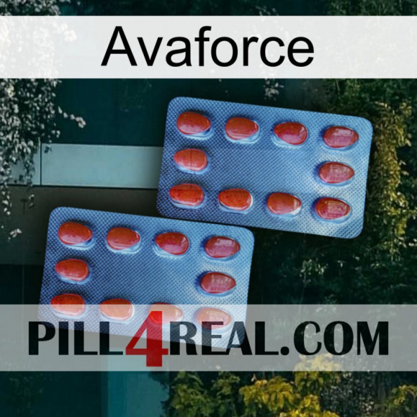 Avaforce 05